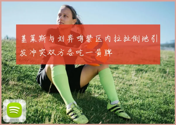基莱斯与刘弈鸣禁区内拉扯倒地引发冲突双方各吃一黄牌